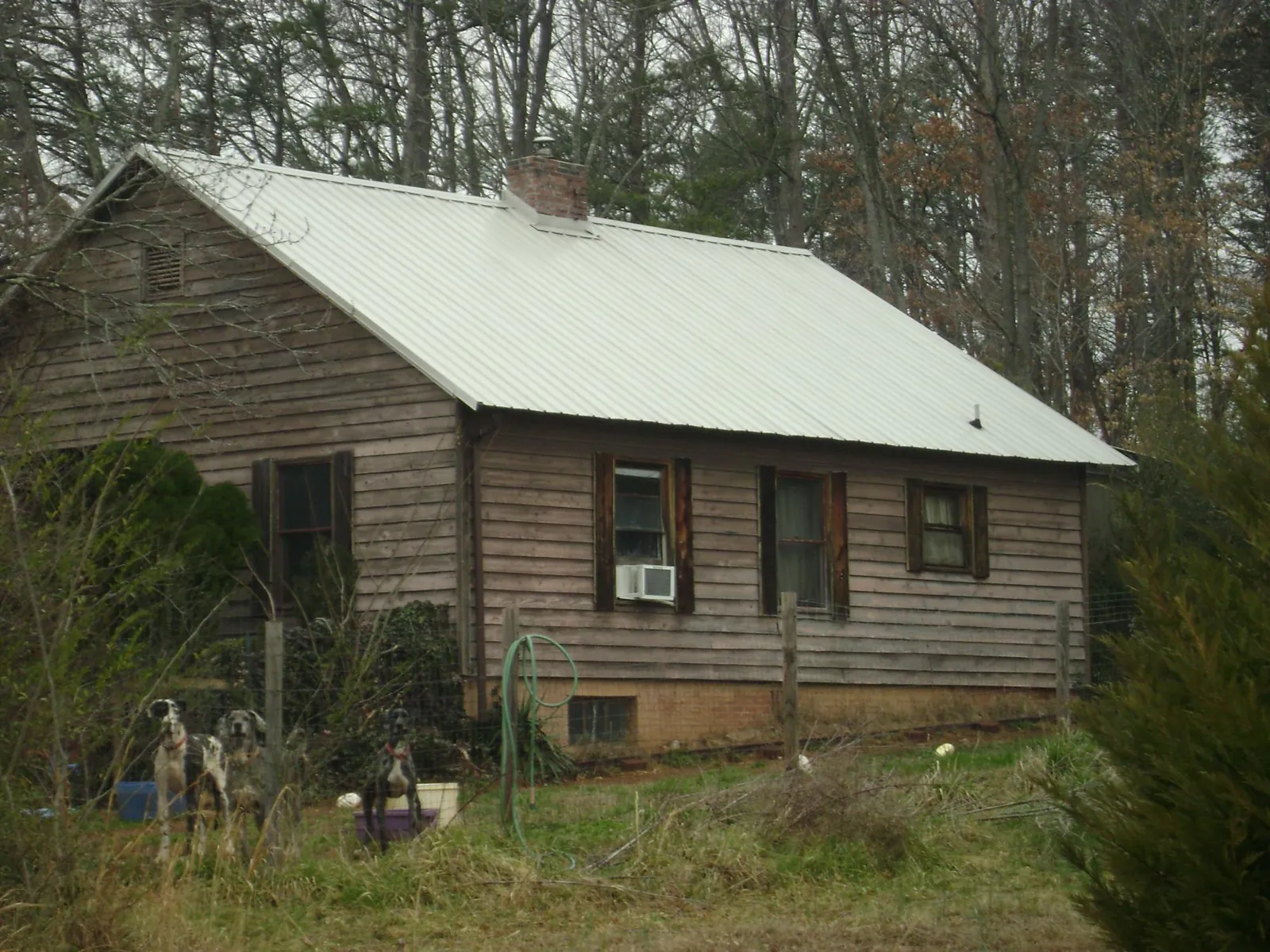 White metal roof on an old wood sided farmhouse, from a Metal Roof Installation job in Cannon Falls